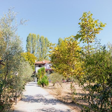 Diamond Farm Villa 卡拉内拉 外观 照片