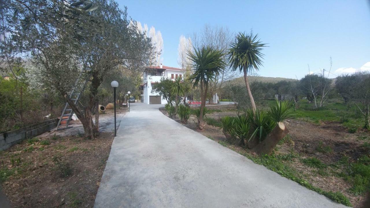 Diamond Farm Villa 卡拉内拉 外观 照片